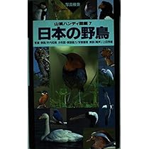 日本の野鳥 (山渓ハンディ図鑑) (山溪ハンディ図鑑 7) | 叶内 拓哉